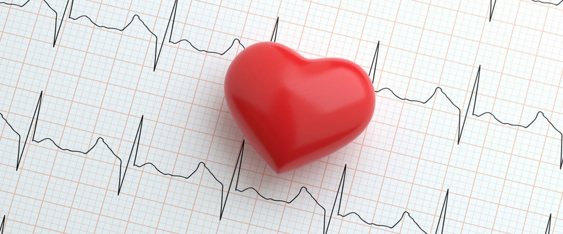 All You Need to Know About the American Heart Association
