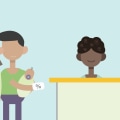 Understanding Co-payments and Coinsurance in Health Insurance